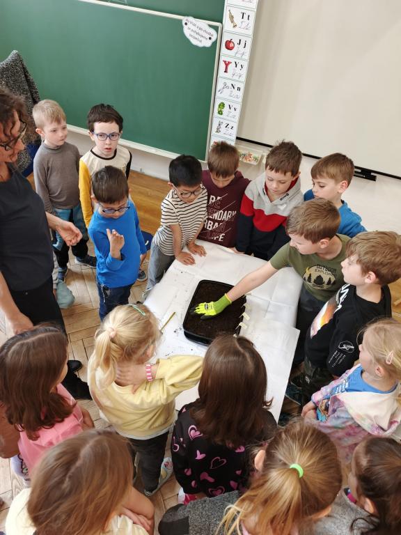 Prvouka - sejeme ředkvičky, 24. 4. 2025
