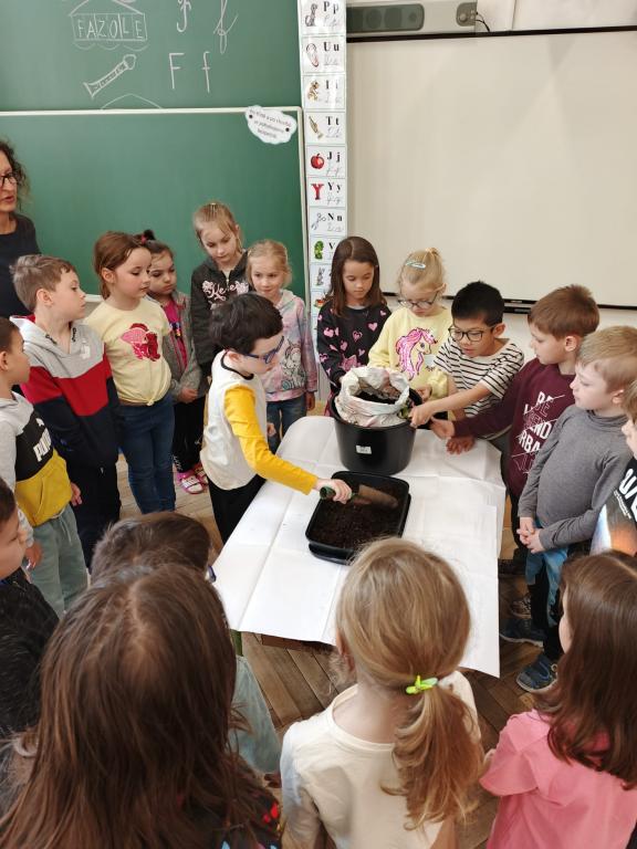 Prvouka - sejeme ředkvičky, 24. 4. 2025