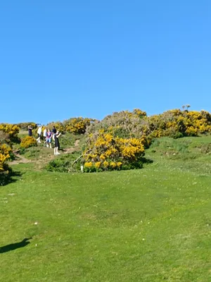 Wales - poloostrov Gower, 30. 4. 2025