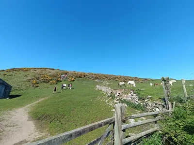 Wales - poloostrov Gower, 30. 4. 2025