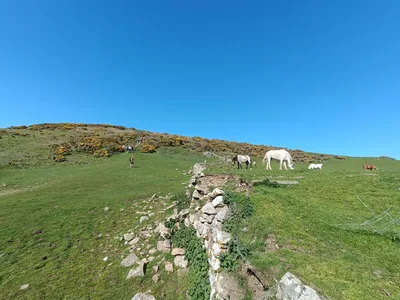 Wales - poloostrov Gower, 30. 4. 2025