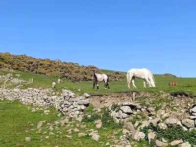 Wales - poloostrov Gower, 30. 4. 2025