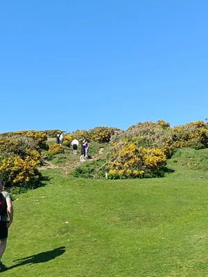 Wales - poloostrov Gower, 30. 4. 2025