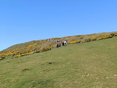 Wales - poloostrov Gower, 30. 4. 2025