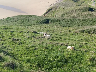 Wales - poloostrov Gower, 30. 4. 2025