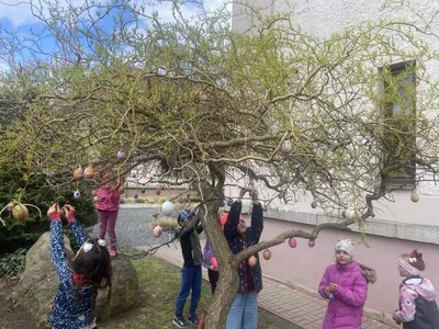Zdobení školního vajíčkovníku, 1. 4. 2025