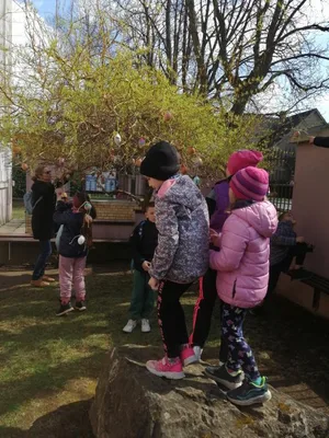 Zdobení vajíček a jejich věšení na školní vajíčkovník, 1. 4. 2025