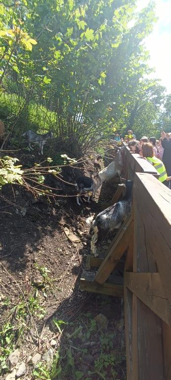Krásný výlet na hrad Košumberk, 23. 5. 2025