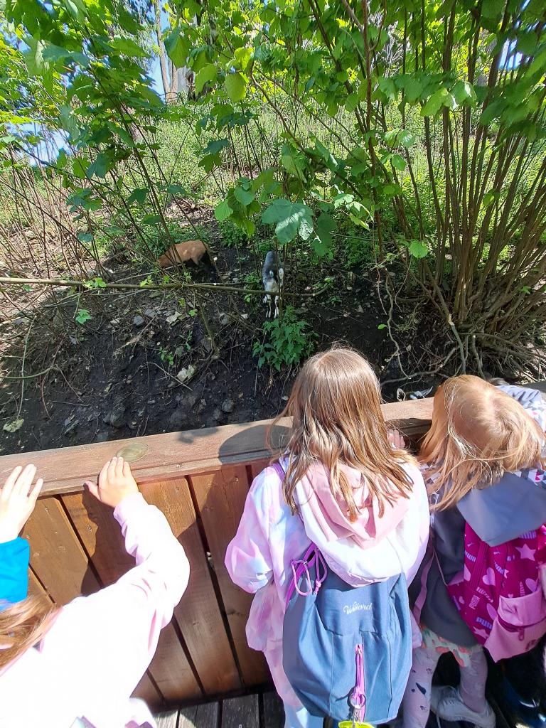 Krásný výlet na hrad Košumberk, 23. 5. 2025