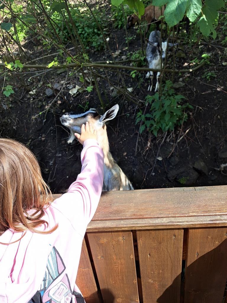 Krásný výlet na hrad Košumberk, 23. 5. 2025