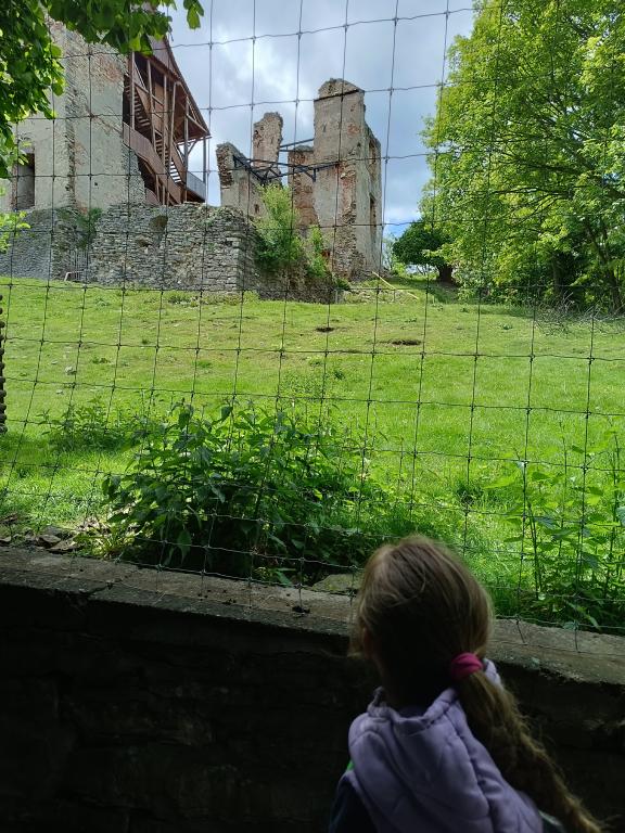 Krásný výlet na hrad Košumberk, 23. 5. 2025