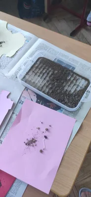Vlastivěda - laboratorní práce, 23. 5. 2025