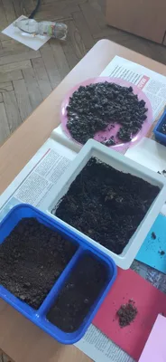 Vlastivěda - laboratorní práce, 23. 5. 2025