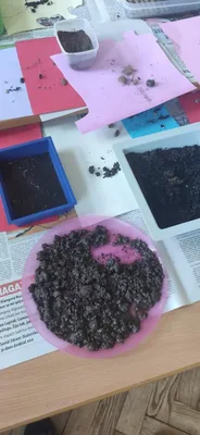 Vlastivěda - laboratorní práce, 23. 5. 2025