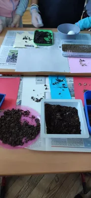 Vlastivěda - laboratorní práce, 23. 5. 2025