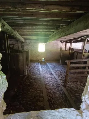 Wales - St. Fagans National Museum of History - Cardiff, 1. 5. 2025