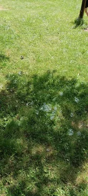 37. Týden ve školní družině, 7. 6. 2025