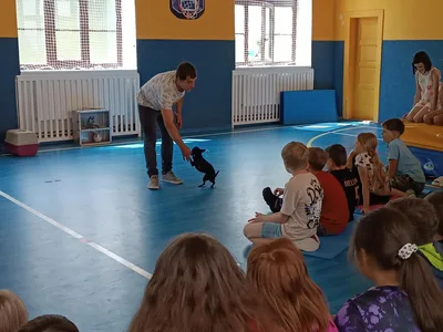 39. Týden ve školní družině, 20. 6. 2025