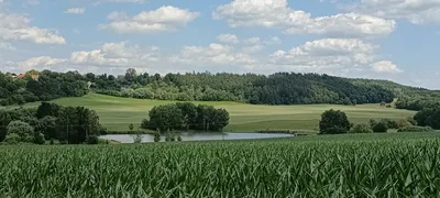 40. Týden ve školní družině, 27. 6. 2025