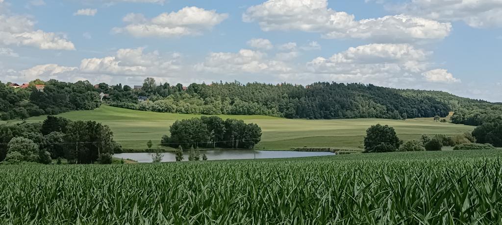 40. Týden ve školní družině, 27. 6. 2025