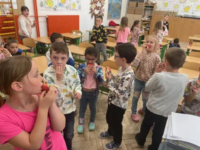 Co se vám vybaví, když se řekne - LÉTO?, 10. 6. 2025