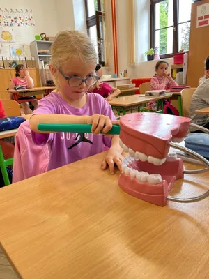 Jak si správně čistit zuby?, 5. 6. 2025