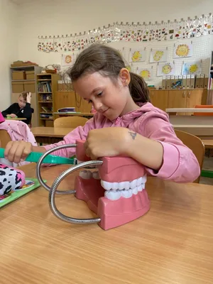 Jak si správně čistit zuby?, 5. 6. 2025