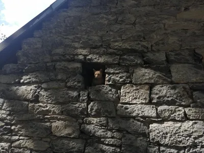 Pěší výlet po Skutči s plněním úkolů, 24. 6. 2025