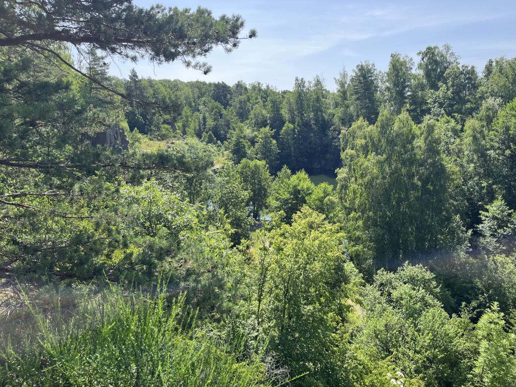 Vycházka do okolí Skutče - směr lom Kaňon, 26. 6. 2025