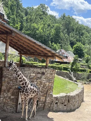 Výlet na golf a do ZOO Jihlavy, 24. 6. 2025