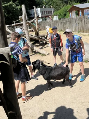 Výlet na golf a do ZOO Jihlavy, 24. 6. 2025