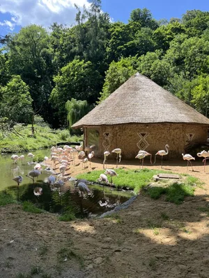 Výlet na golf a do ZOO Jihlavy, 24. 6. 2025