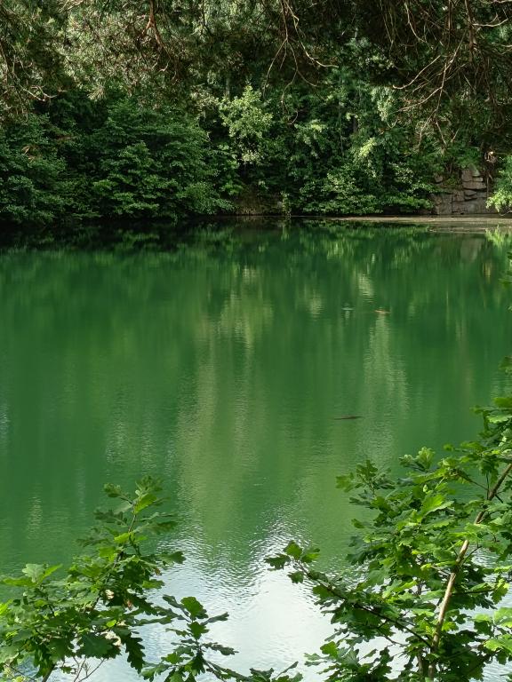 Výprava na Žulovou stezku Horkami, 24. 6. 2025