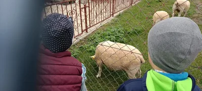 Čtvrtý týden ve školní družině, 26. 9. 2025