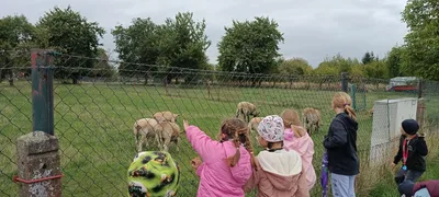 Čtvrtý týden ve školní družině, 26. 9. 2025