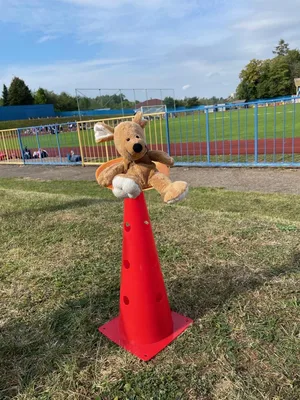 Školní letní olympiáda, 10. 9. 2025