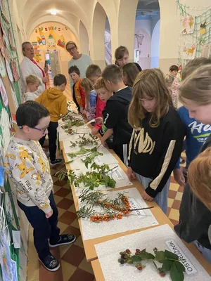 "Ve zdravém těle zdravý duch II." - ZDRAVÍ, 30. 9. 2025