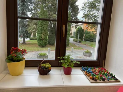 "Ve zdravém těle zdravý duch II." - ZDRAVÍ, 25. 9. 2025