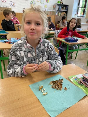 Máš na zdravé mlsání dost síly?, 8. 10. 2025