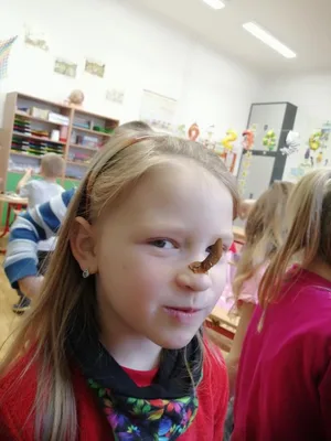 Osmý týden v 1. třídě, 24. 10. 2025