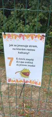 Pátý týden ve školní družině, 3. 10. 2025
