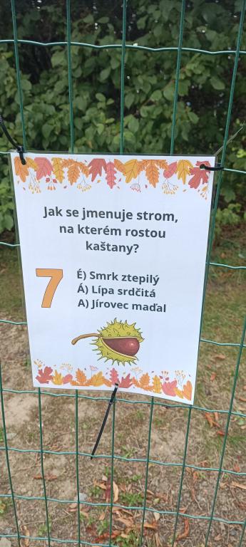 Pátý týden ve školní družině, 3. 10. 2025