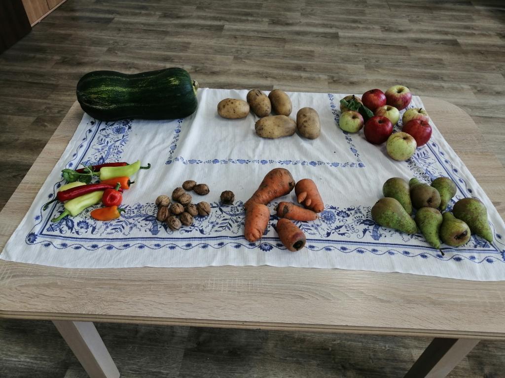 Začátek října u prvňáčků, 3. 10. 2025