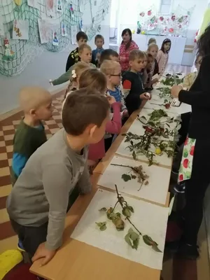 Začátek října u prvňáčků, 3. 10. 2025