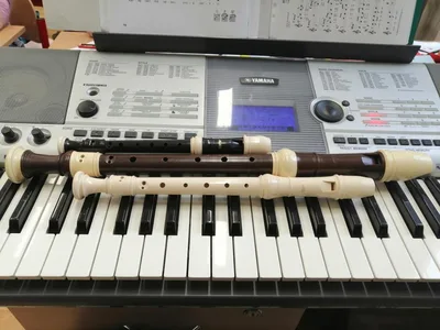Poslední listopadový týden u prvňáčků, 28. 11. 2025