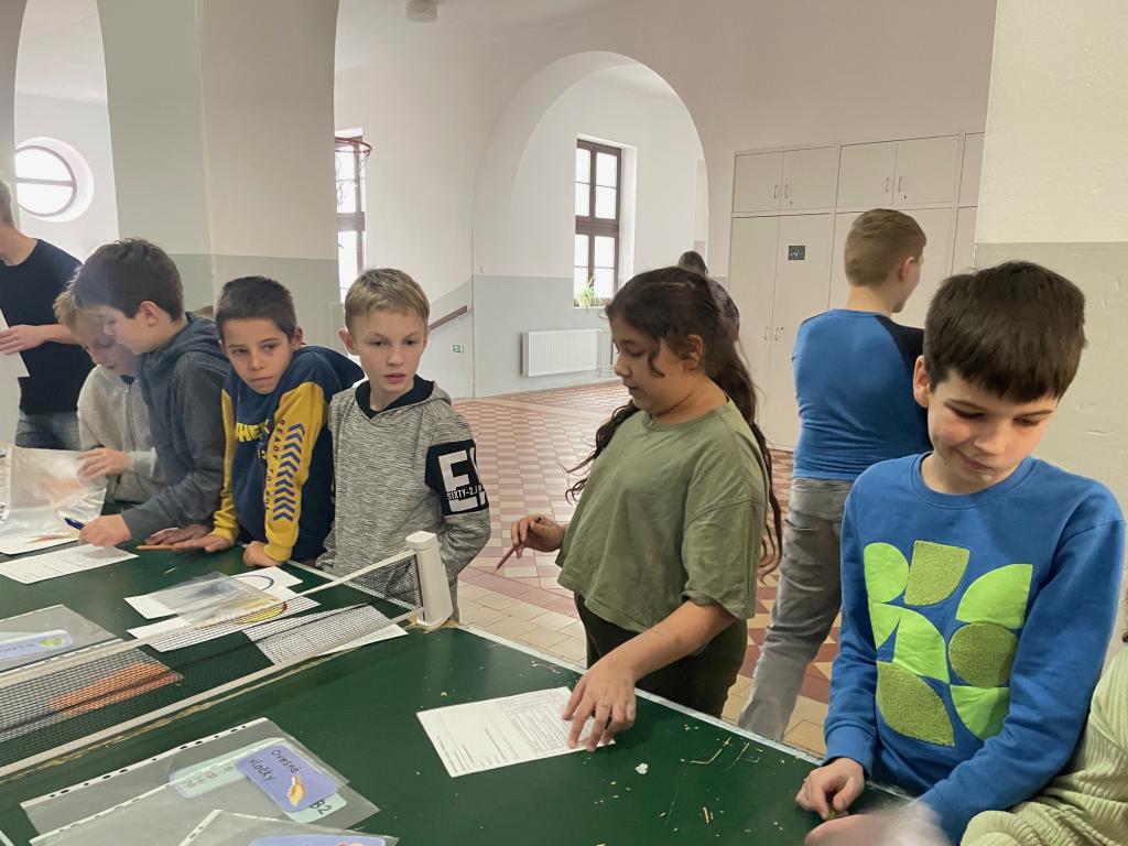 celoškolní projekt Ve zdravém těle zdravý duch II., 11. 12. 2025