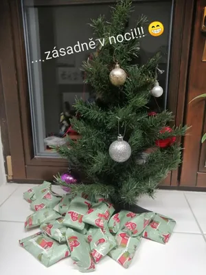 Předvánoční týden v 1. třídě, 20. 12. 2025