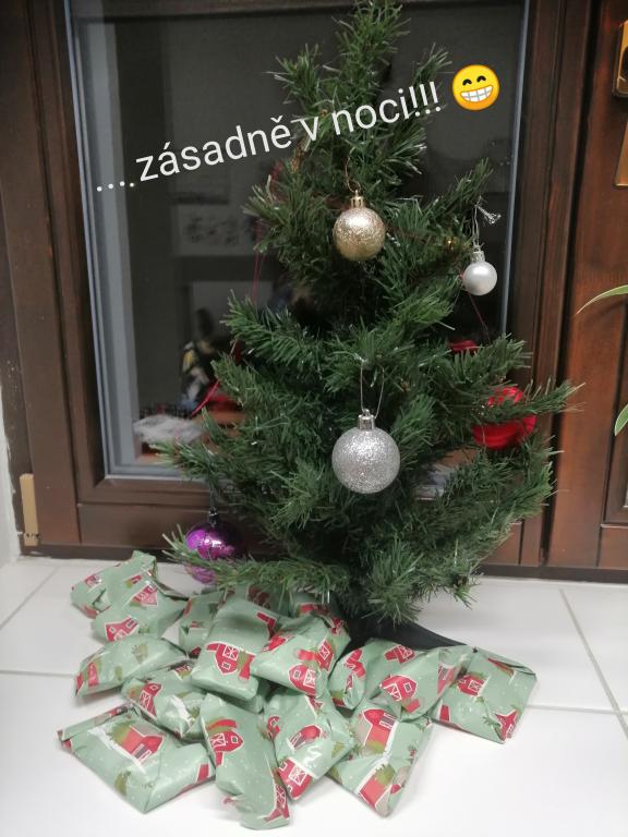 Předvánoční týden v 1. třídě, 20. 12. 2025
