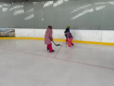 Další prima bruslení, 14. 1. 2026