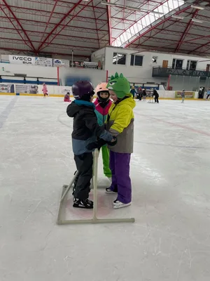 Další prima bruslení, 14. 1. 2026